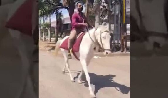 پٹرول قلت: گھوڑے کی سواری