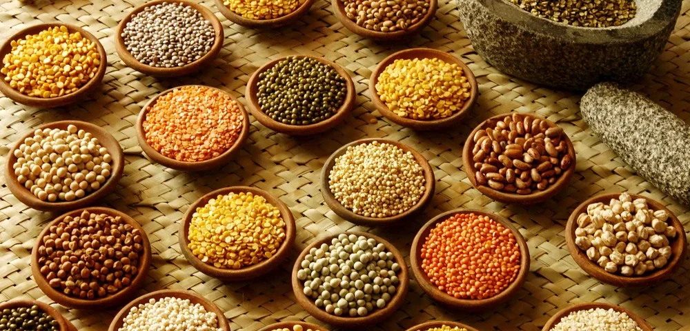 "dal imports decrease, دالوں کی درآمدات میں کمی"